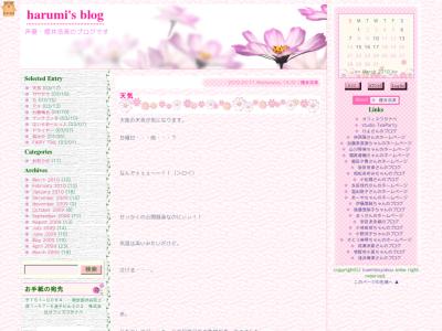 harumi's blog